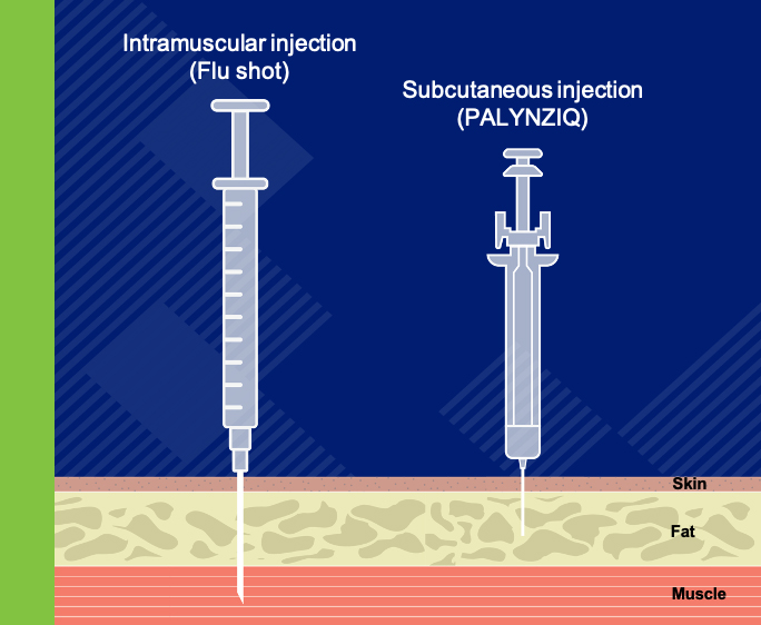 A needle smaller than a flu shot